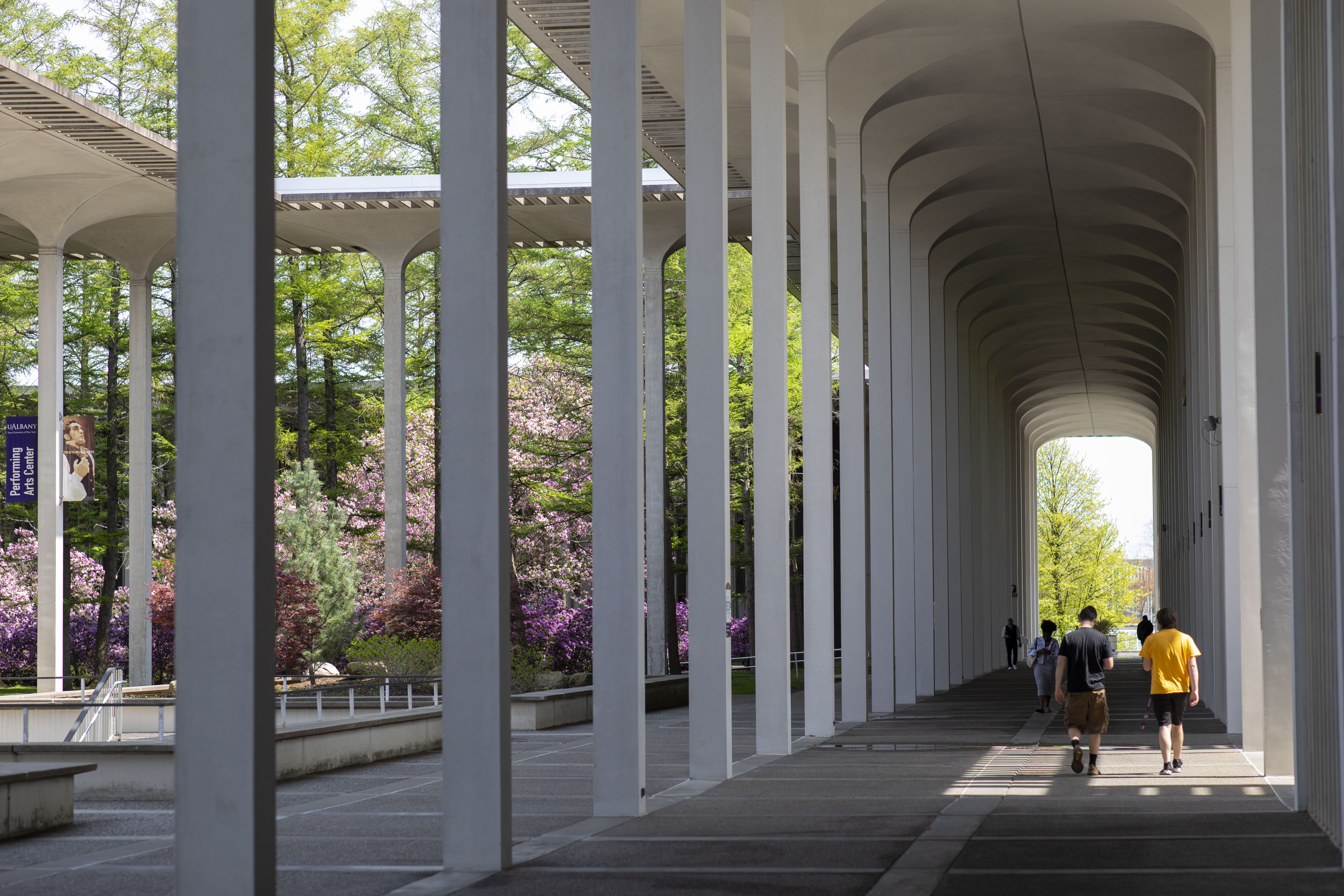 UAlbany